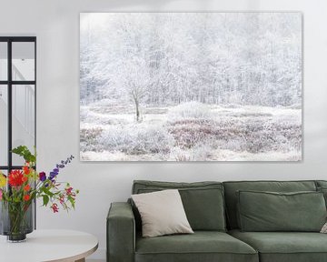 Winter in de Hoge venen van Peter Lambrichs