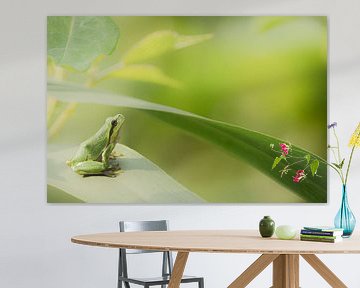 Laubfrosch von Peter Lambrichs