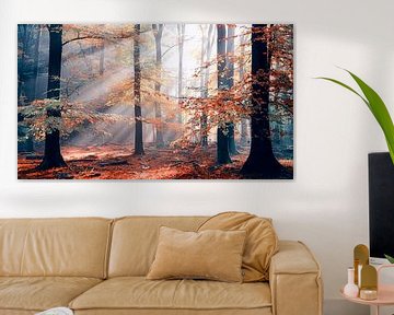 Sinfonia Della Foresta 2 van Lars van de Goor