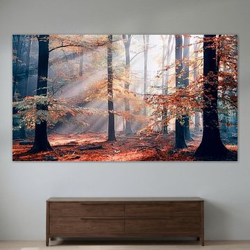 Sinfonia Della Foresta 2 sur Lars van de Goor