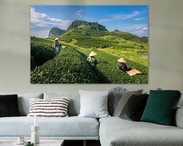 Theevelden in Moc Chau, Vietnam van Antwan Janssen