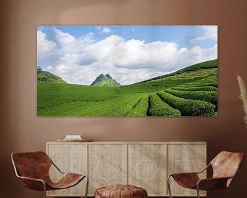 Theevelden in Moc Chau, Vietnam van Antwan Janssen