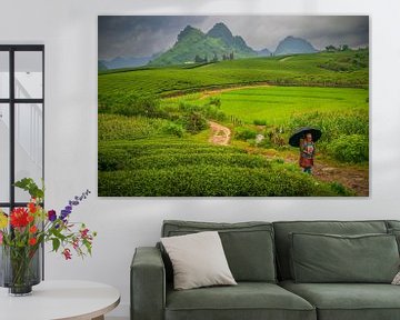 Theevelden in Moc Chau, Vietnam van Antwan Janssen