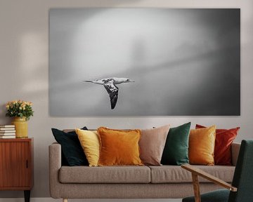 Young Jan van Gent in flight black and white by Close_Up_And.....