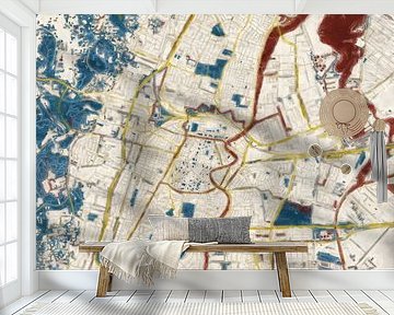Stadtplan Haarlem | Mitternachtsgold | Rot-Blau-Gold