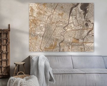 Stadskaart Haarlem | Sandstone | Zand-Bruin