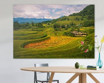 Die spektakulären Reisfelder von Hoang Su Phì, Vietnam von Antwan Janssen