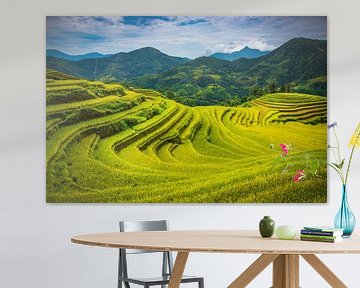Die spektakulären Reisfelder von Hoang Su Phì, Vietnam von Antwan Janssen
