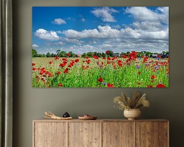 Au bord d'une prairie, coquelicots et bleuets, Egmond-binnen, , Hollande septentrionale sur Rene van der Meer