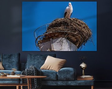 HET OOIEVAARSNEST van Photoart-Naegele