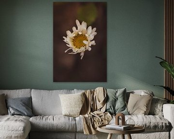 Dansende blaadjes. van Brenda De Voeght