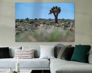 Lonely Keeper - Joshua Tree in the Desert by José IJedema