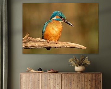 ijsvogel, kingfisher, blauwe flits,symbool van geluk en voorspoed van M. B. fotografie