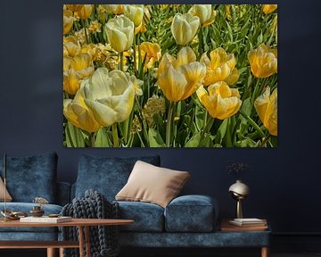 Bloemenveld met gele tulpen en narcissen