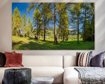 À travers une clairière dans la forêt, vue sur le village de Sexten et le sommet enneigé d'une monta sur Rene van der Meer