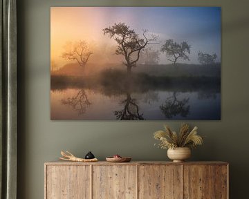Bomen bij zonsopkomst in de mist van Waldo Kersten