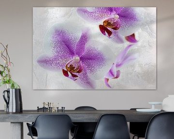 Orchidee, roze lila van Rietje Bulthuis