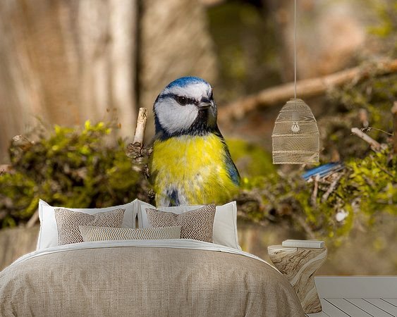 Aperçu de la chambre