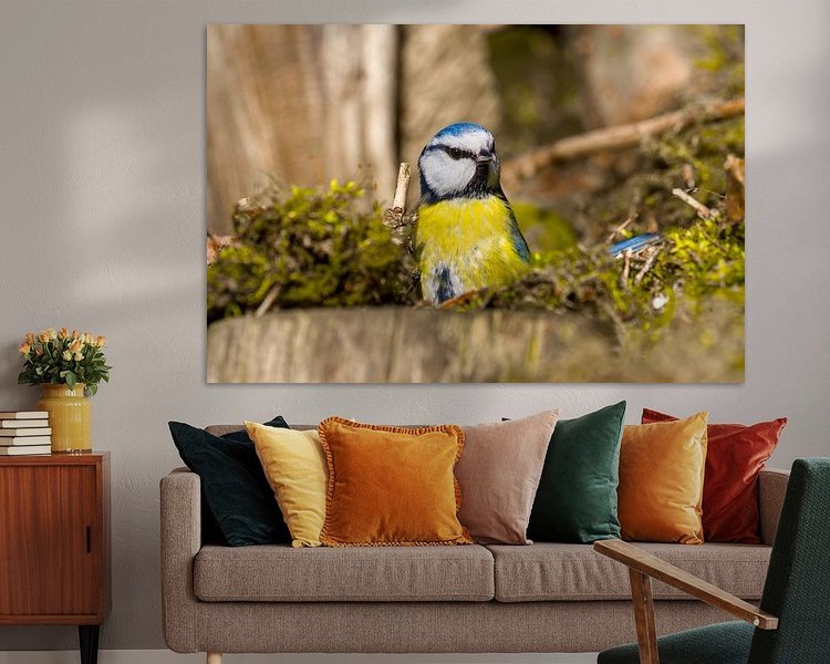 Aperçu de la chambre