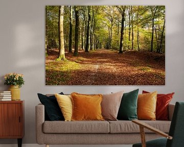 Autumn in the forest by Merijn Loch