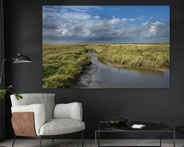 Moerasland op het schiereiland Eiderstedt bij de vuurtoren van Westerhever van Peter Eckert