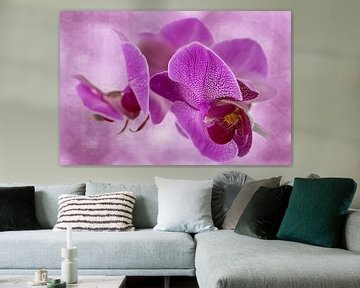 Orchidee, dunkelrosa von Rietje Bulthuis
