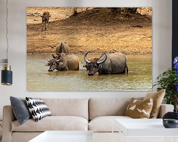 Water buffalo at the waterhole by Roland Brack