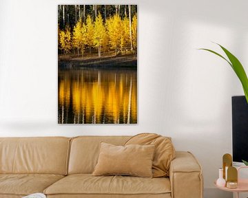Herfst Aspen Bos Reflectie Foto - Gouden Meditatie van Daniel Forster