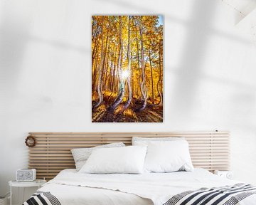 Art mural de la forêt d'automne - Photo des trembles dansants du Colorado sur Daniel Forster