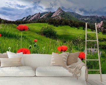 Boulder Colorado Landschap Print, Boulder Flatirons & Rode klaprozen Foto
