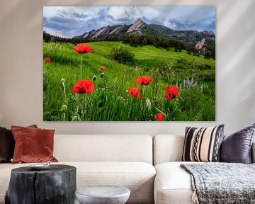 Boulder Colorado Landschap Print, Boulder Flatirons & Rode klaprozen Foto van Daniel Forster
