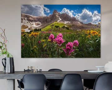 Indian Paintbrush Wildflowers in the San Juan Mountains of Colorado - Fine Art Landscape Photography by Daniel Forster