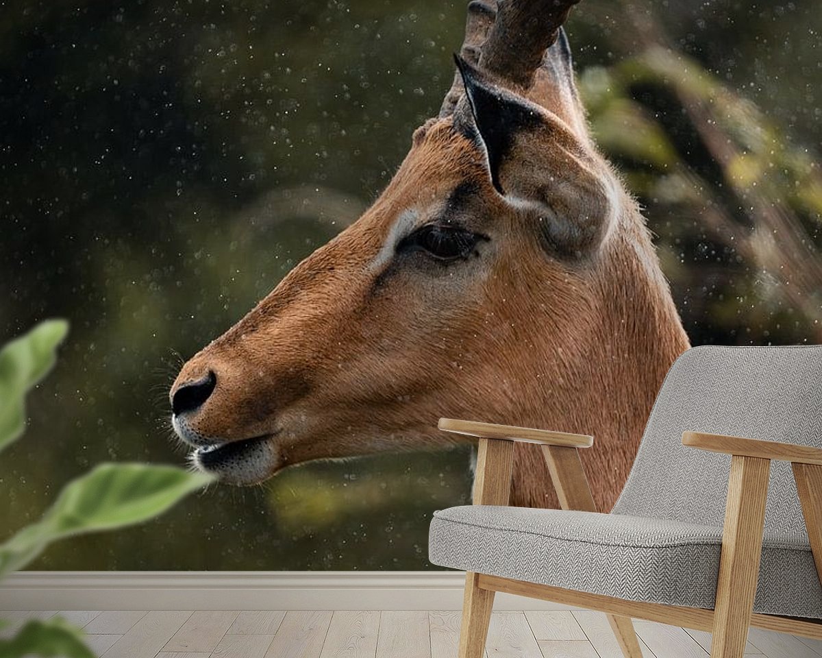 Raumvorschau