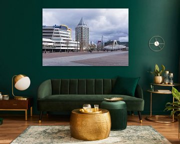 Binnenrotte Rottedam van fotografiebiezen