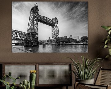 Koningshavenbrug (de Hef) van fotografiebiezen