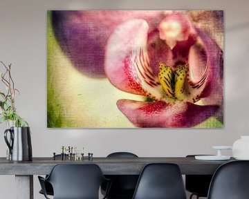 Orchideenblüte - Vintage von Dieter König
