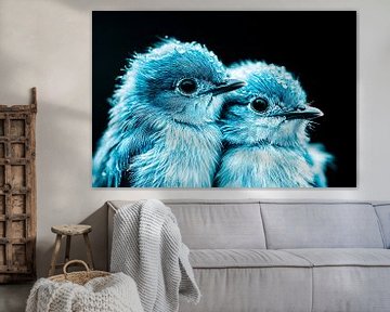 Close-up van blauwe vogels van Imperial Art House