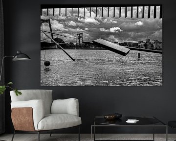 Maasbeeld van fotografiebiezen