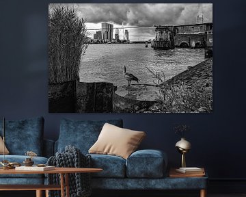 Maasbeeld van fotografiebiezen
