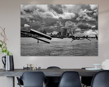 Maasbeeld van fotografiebiezen