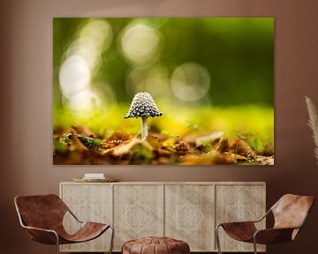 Bokeh en paddenstoelen van Dennis Venema