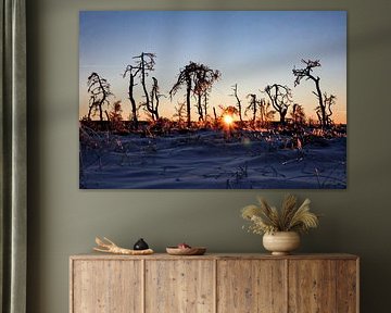 Vurige zonsondergang in winters landschap