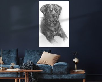 Gezicht van een jonge Rottweiler van Adria Mueller