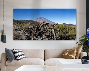 Majestueuze wildernis - panorama over het Teide Nationaal Park van Walter G. Allgöwer
