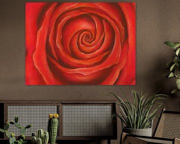 Pastel schilderij rode roos van Karen Kaspar