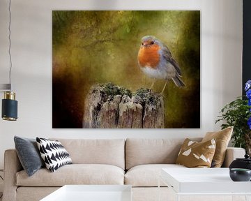 Photo of a robin, Picturesque, Orange, Grey, Green, Brown by Joriali photography and paintings