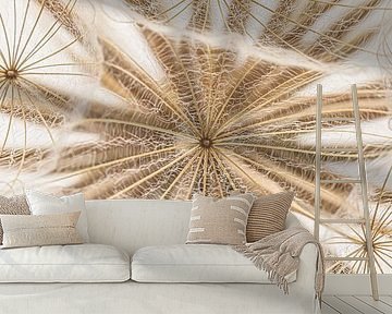 Panorama of fluff with the heart of a fluff ball by Marjolijn van den Berg