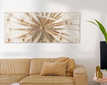 Panorama des Flausches mit dem Herz eines Flauschballs von Marjolijn van den Berg