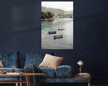 Bootjes aan de Italiaanse kust - Portofino