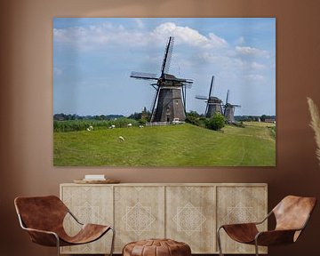 Holland, Stompwijk, Molendriegang, drie windmolens   van Frans Rombout